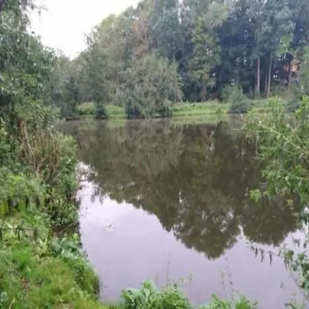 Apartament Mit Garten In Damgarten, Cleaning Included *